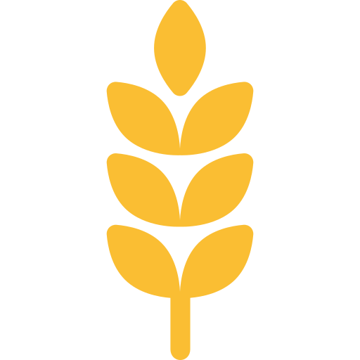 Mother Brand